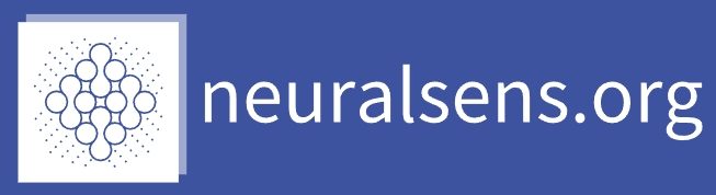 neuralsens.org – Smart gas and temperature sensors with neural-network-based low-level in- sensor data processing capability